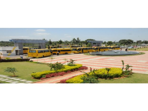 BMA College Activity